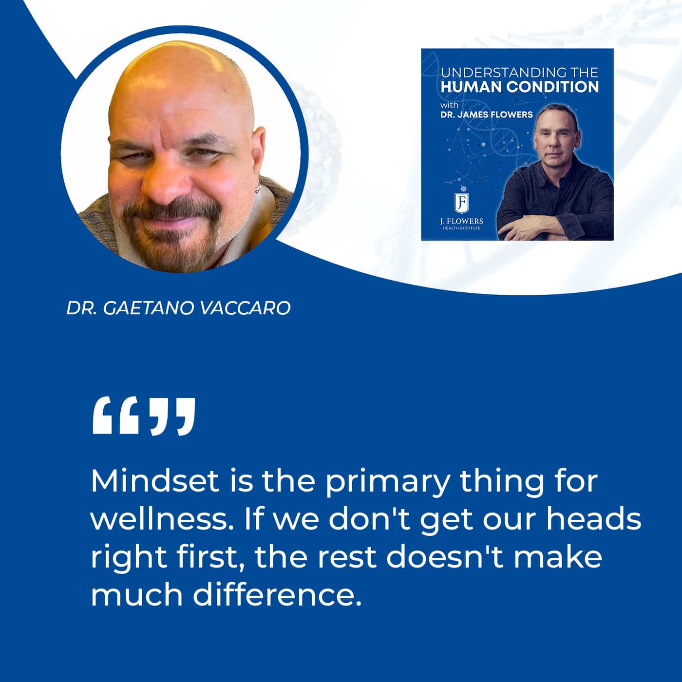 Understanding The Human Condition | Gaetano Vaccaro | Wellness